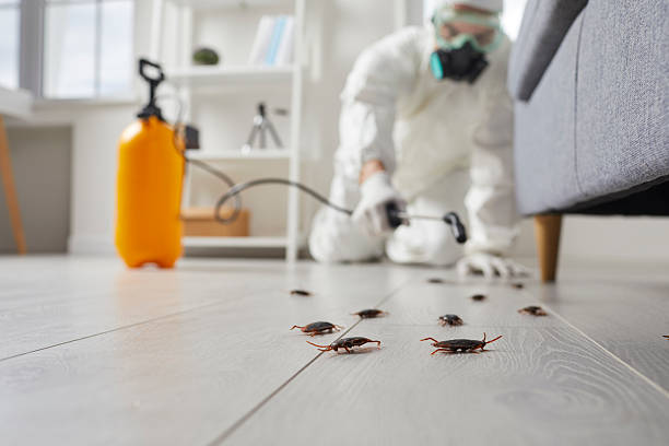 Trusted Cockroach Control service in Ransom Canyon, TX - Nex Pest Control