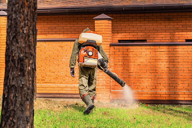 Trusted Mosquito Control service in Ransom Canyon, TX - Nex Pest Control